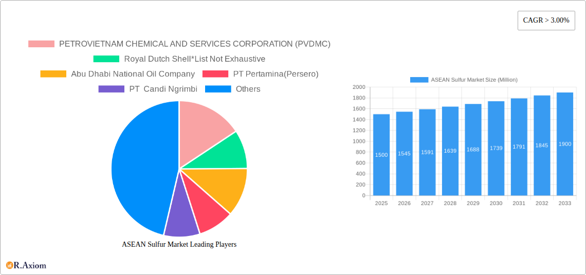 ASEAN Sulfur Market Research Report - Market Overview and Key Insights
