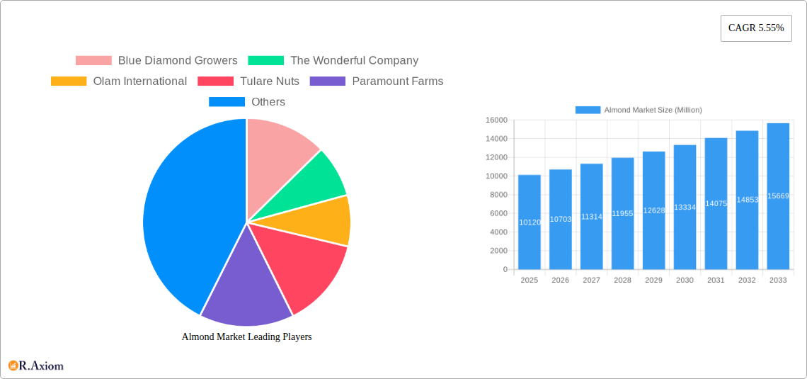 Almond Market Research Report - Market Overview and Key Insights