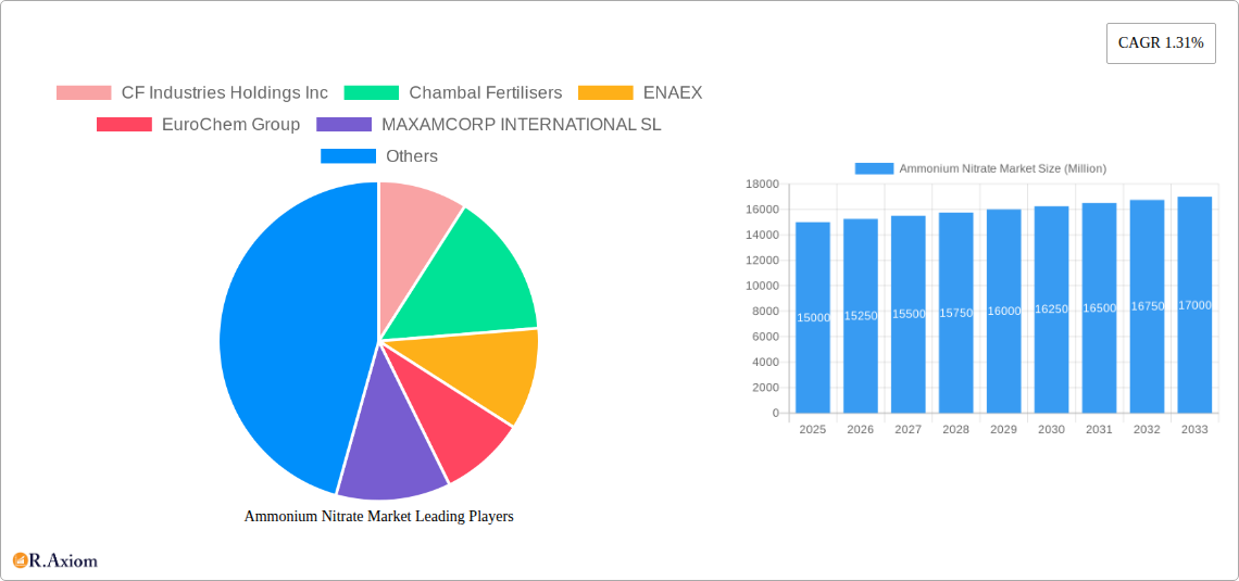 Ammonium Nitrate Market Research Report - Market Overview and Key Insights