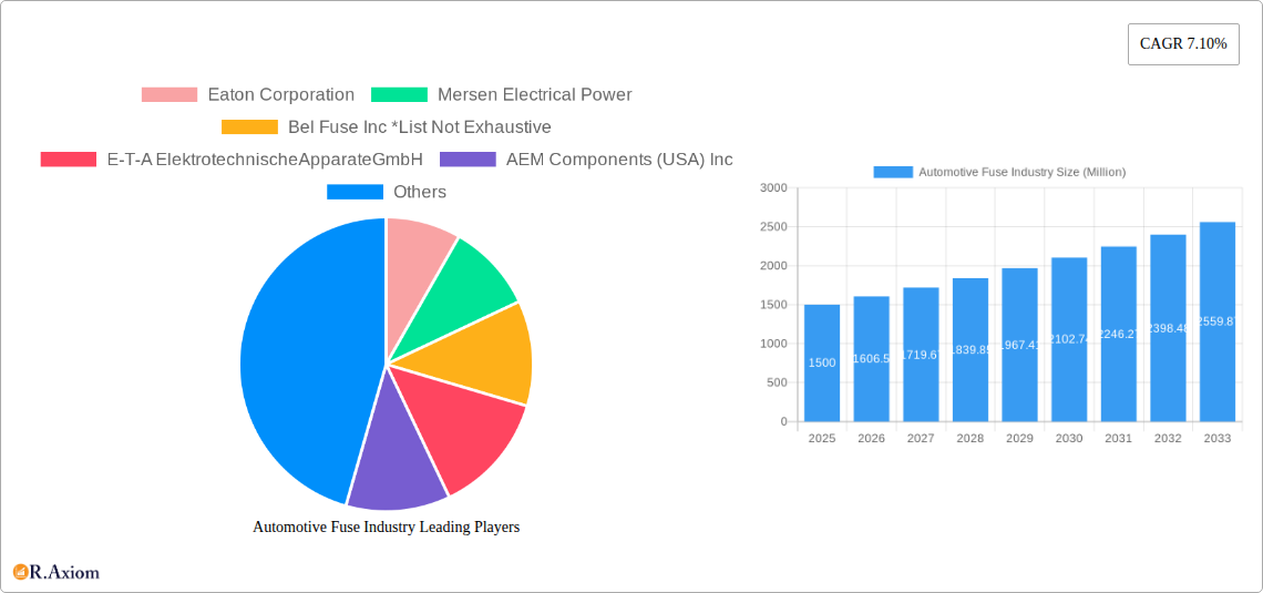 Automotive Fuse Industry Research Report - Market Overview and Key Insights
