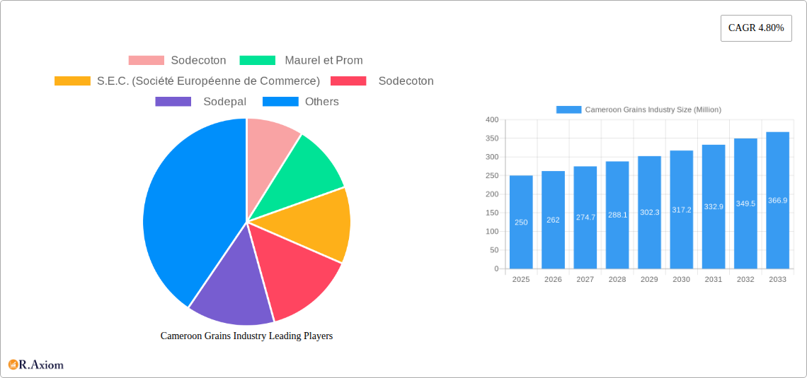 Cameroon Grains Industry Research Report - Market Overview and Key Insights
