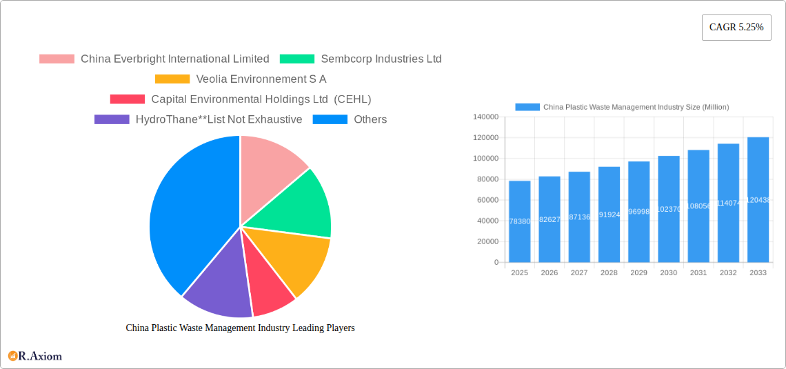 China Plastic Waste Management Industry Research Report - Market Overview and Key Insights