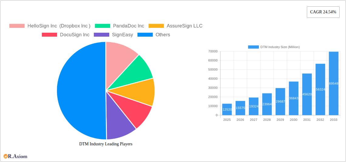 DTM Industry Research Report - Market Overview and Key Insights