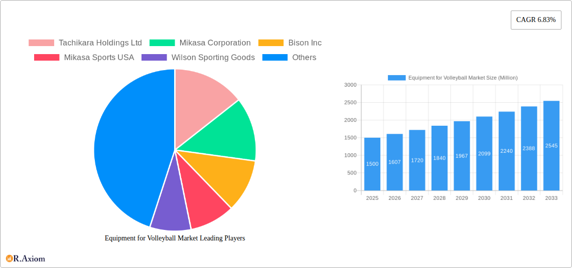 Equipment for Volleyball Market Research Report - Market Overview and Key Insights