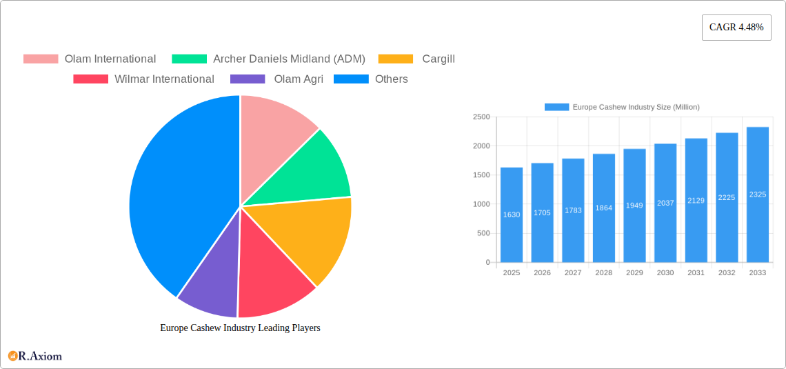 Europe Cashew Industry Research Report - Market Overview and Key Insights