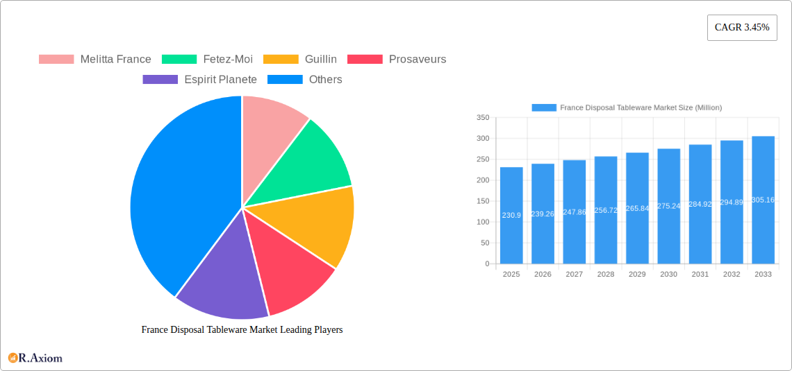 France Disposal Tableware Market Research Report - Market Overview and Key Insights