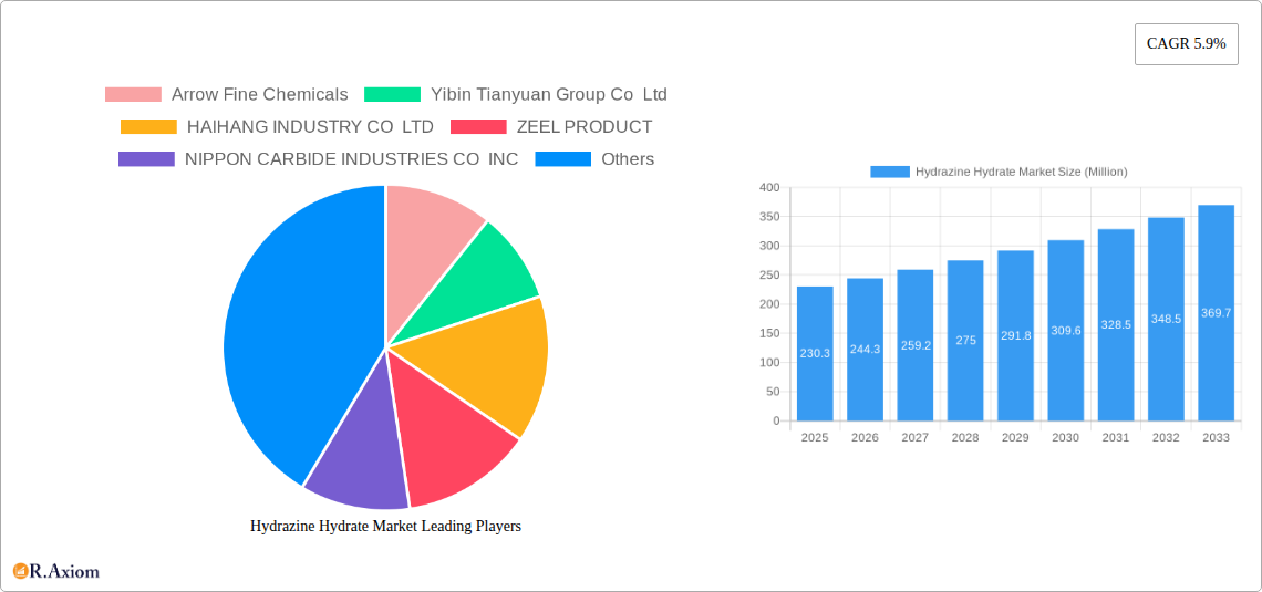 Hydrazine Hydrate Market Research Report - Market Overview and Key Insights