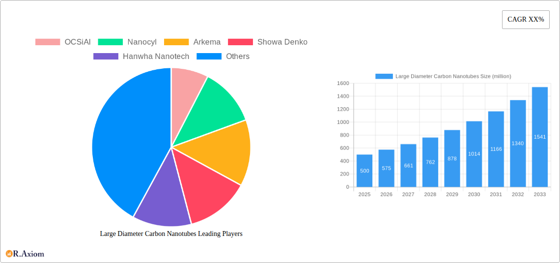 Large Diameter Carbon Nanotubes Research Report - Market Overview and Key Insights