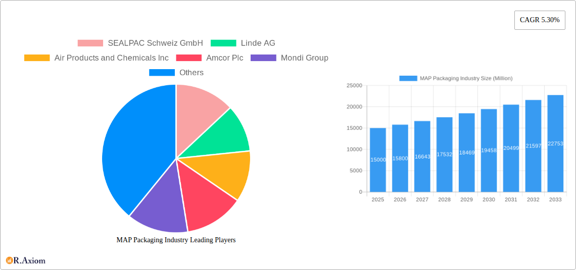 MAP Packaging Industry Research Report - Market Overview and Key Insights
