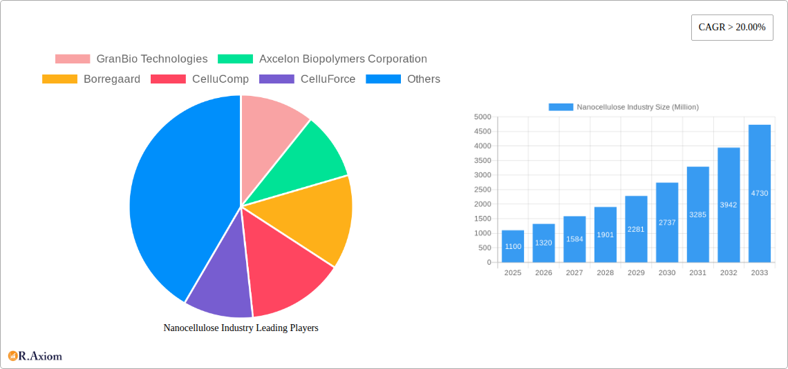 Nanocellulose Industry Research Report - Market Overview and Key Insights