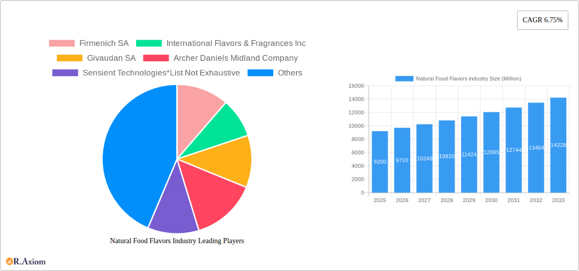 Natural Food Flavors Industry Research Report - Market Overview and Key Insights