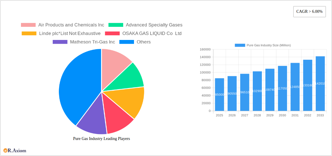 Pure Gas Industry Research Report - Market Overview and Key Insights