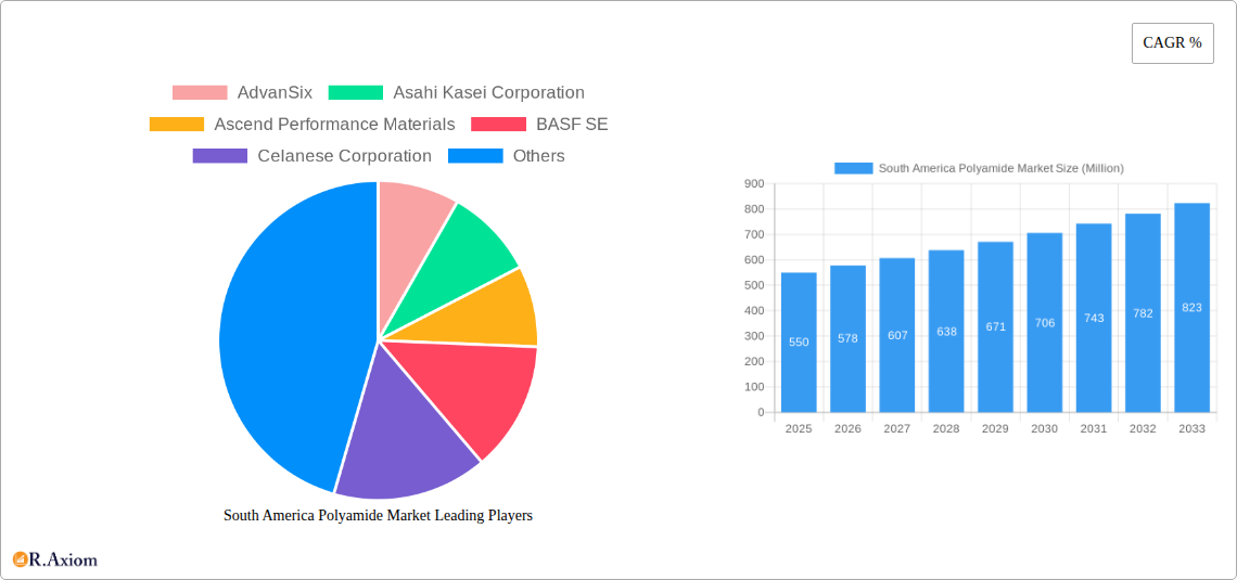 South America Polyamide Market Research Report - Market Overview and Key Insights