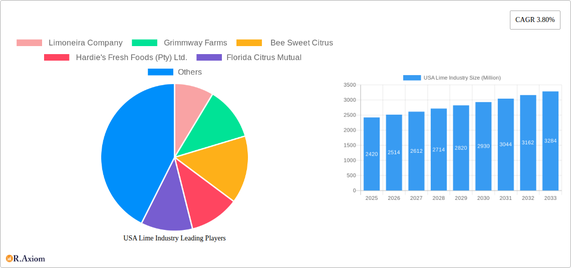 USA Lime Industry Research Report - Market Overview and Key Insights