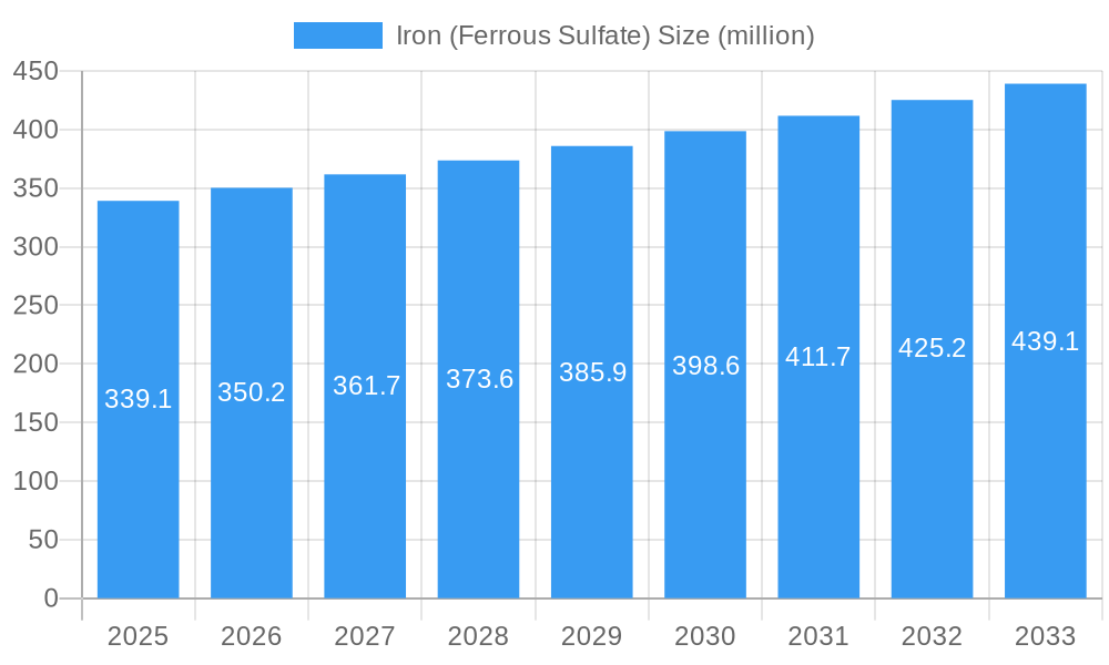 Iron (Ferrous Sulfate) Market Size and Forecast (2024-2030)