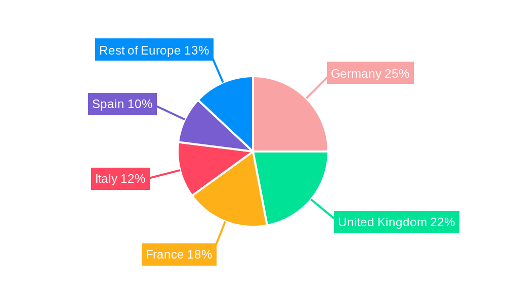 Europe Artificial Grass Market Market Share by Region - Global Geographic Distribution