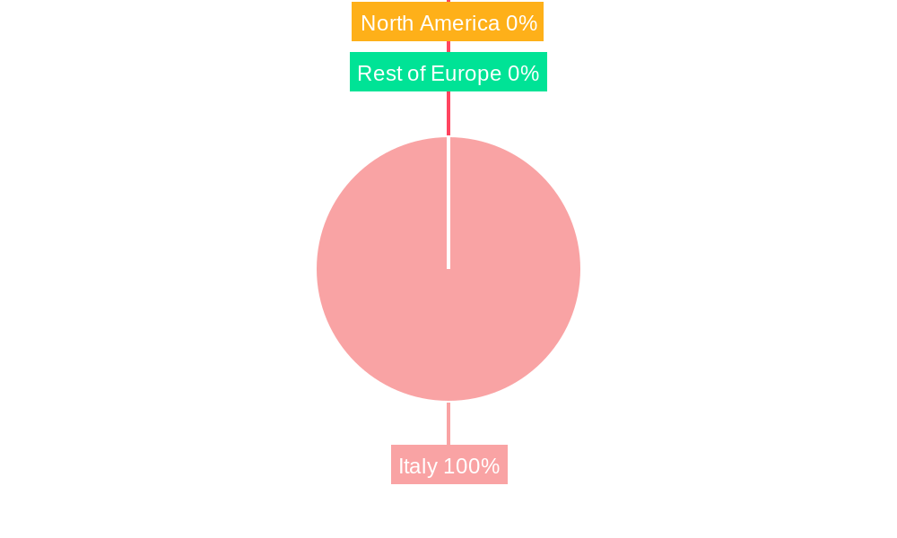 Italy Adhesives Industry Market Share by Region - Global Geographic Distribution