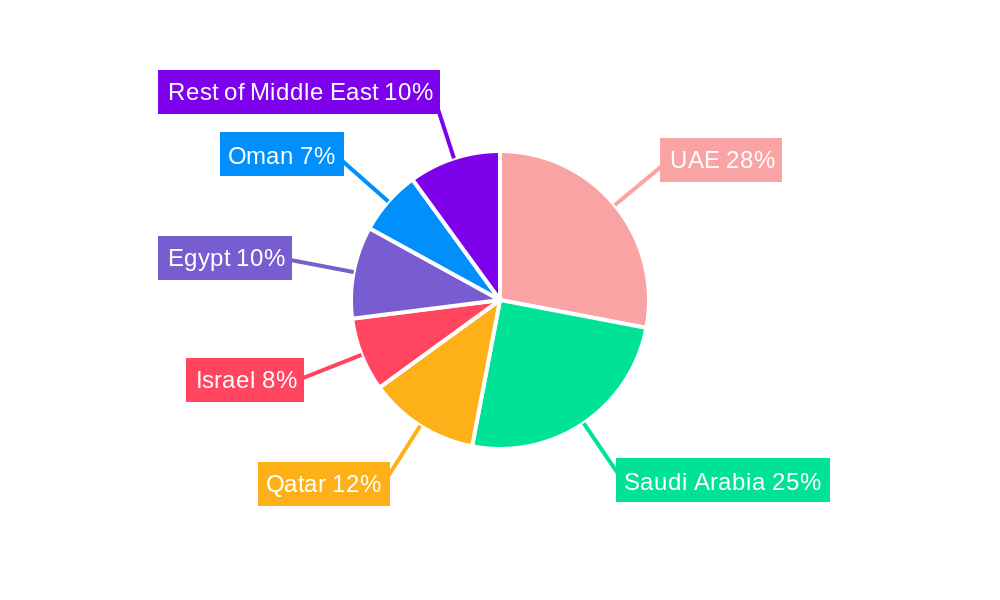 Middle East Aviation Market Market Share by Region - Global Geographic Distribution