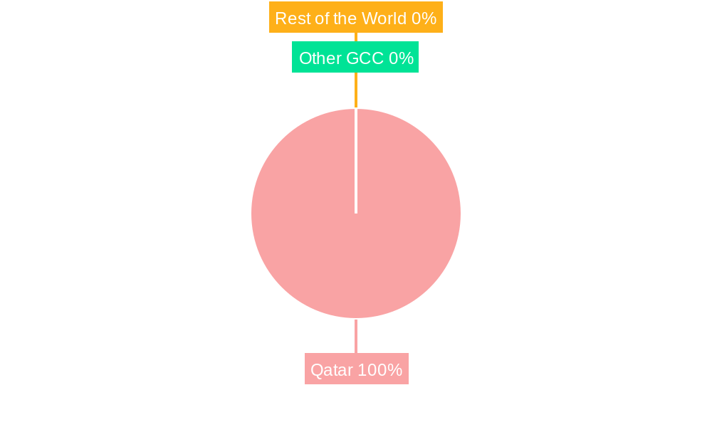Qatar Retail Market Market Share by Region - Global Geographic Distribution