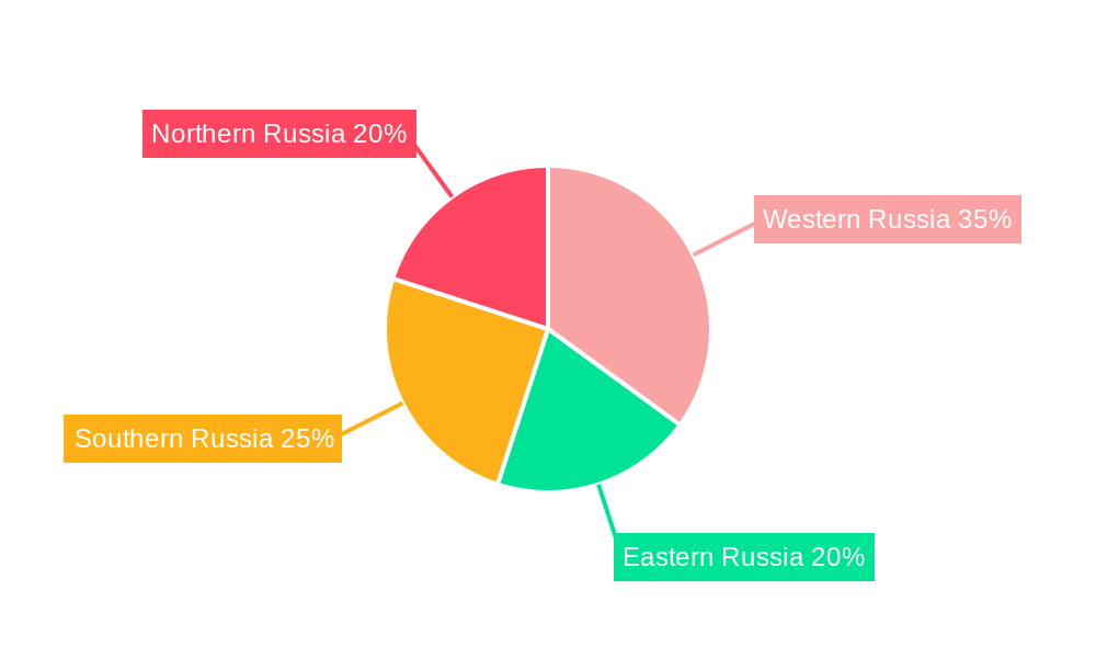 Russia Salon Hair Care Market Market Share by Region - Global Geographic Distribution