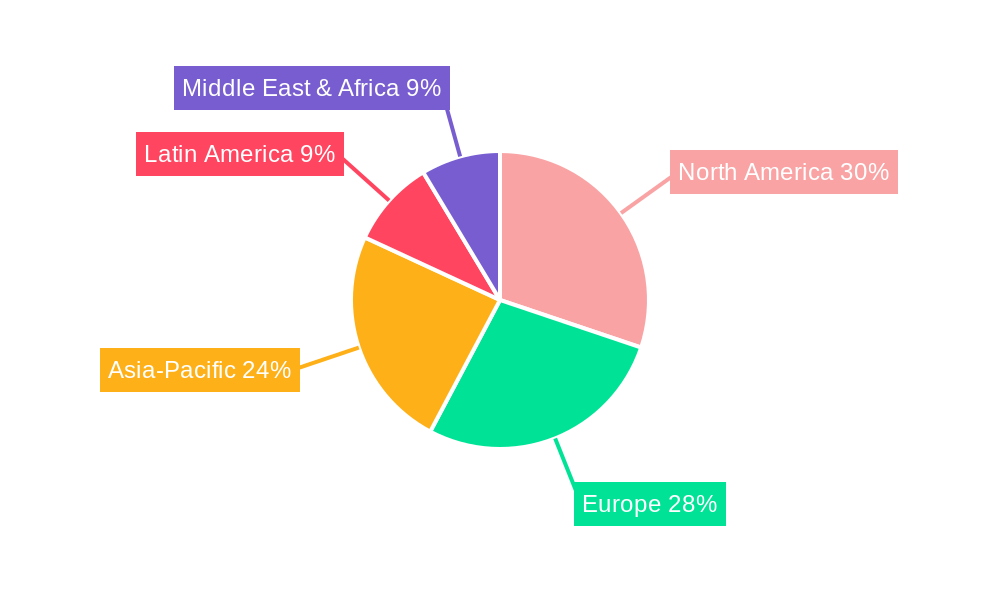 Shapewear Market Market Share by Region - Global Geographic Distribution