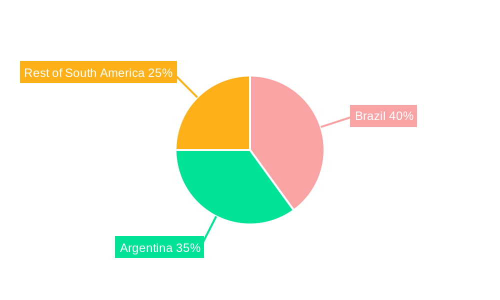 South America Feed Acidifiers Market Market Share by Region - Global Geographic Distribution