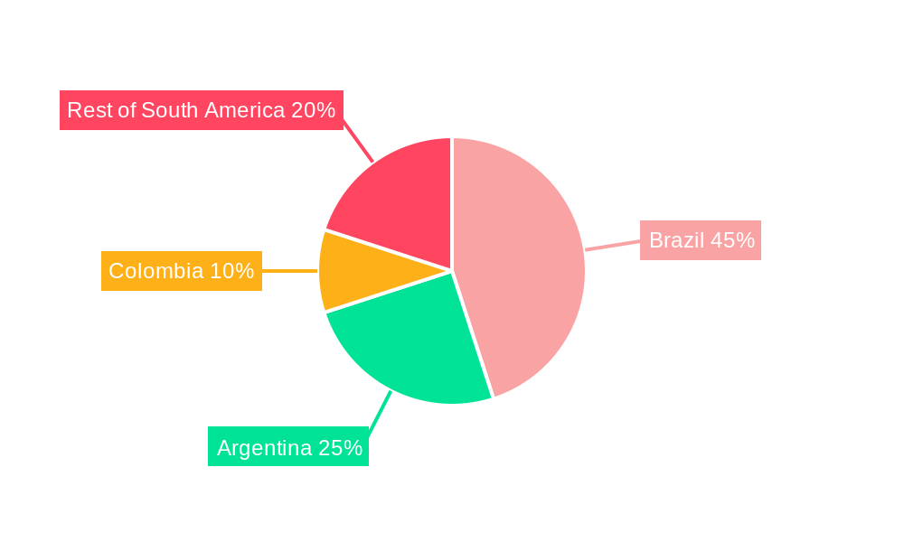 South America Polyamide Market Market Share by Region - Global Geographic Distribution