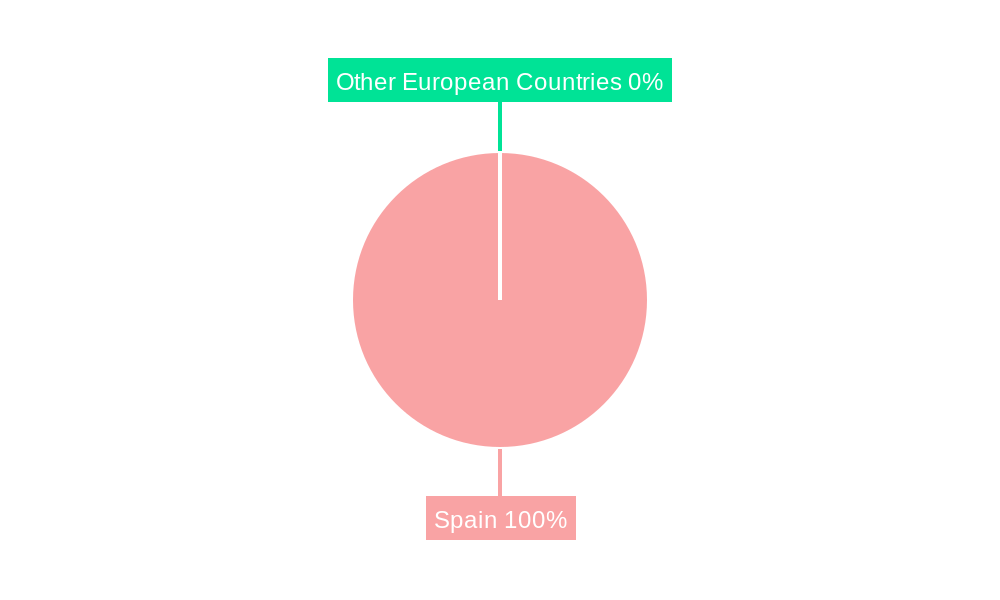Spain Pouch Packaging Market Market Share by Region - Global Geographic Distribution