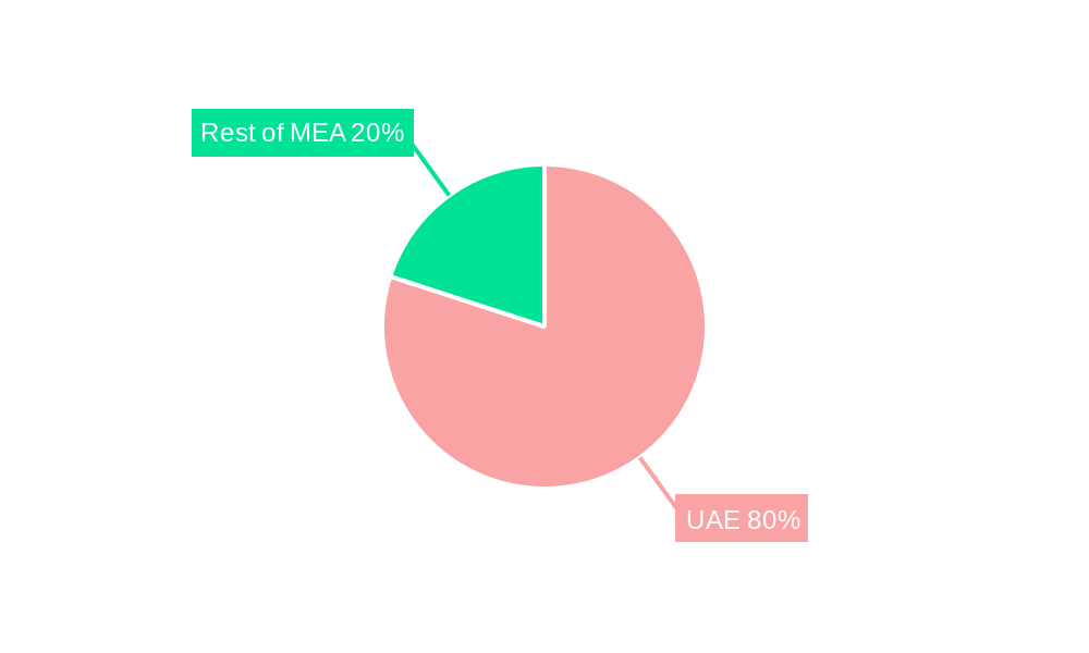 UAE POS Terminal Industry Market Share by Region - Global Geographic Distribution