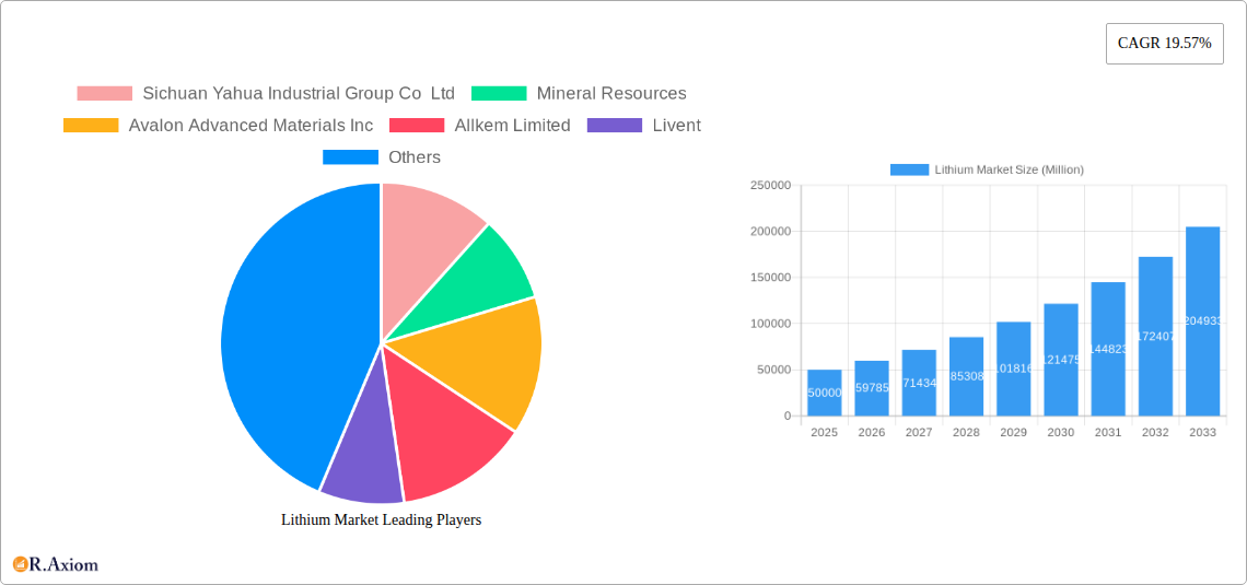 Lithium Market Research Report - Market Overview and Key Insights