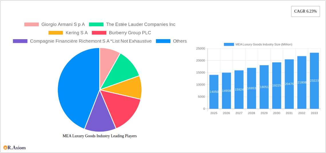MEA Luxury Goods Industry Research Report - Market Overview and Key Insights