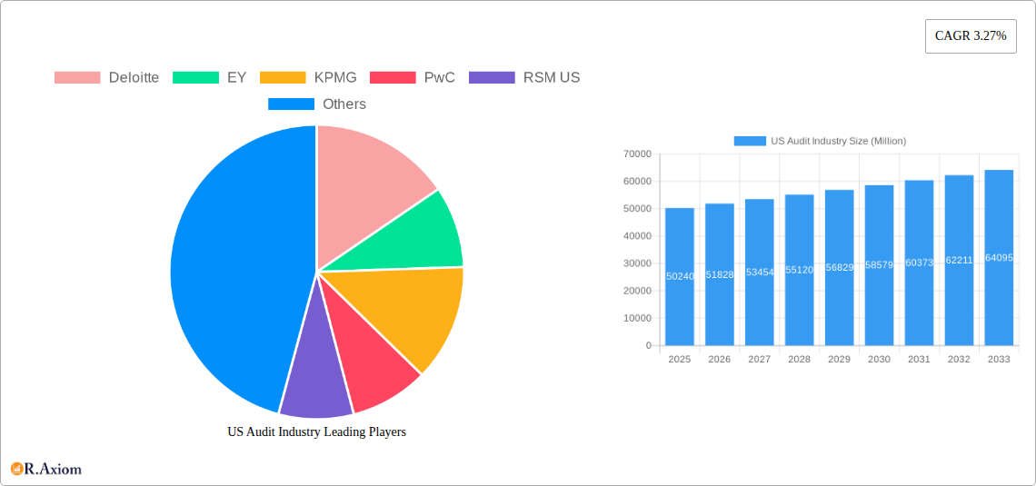 US Audit Industry Research Report - Market Overview and Key Insights