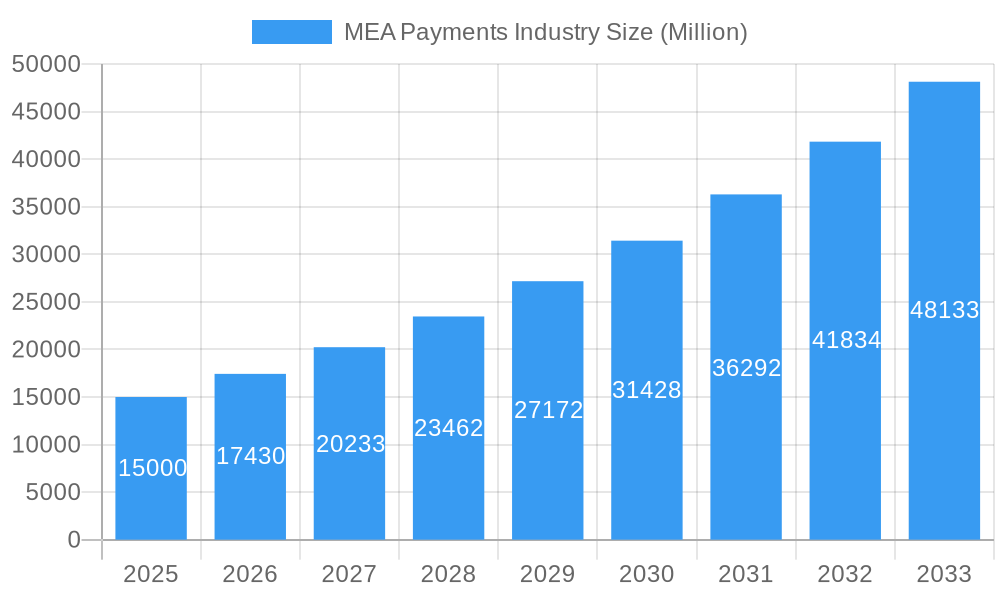 MEA Payments Industry Market Size and Forecast (2024-2030)