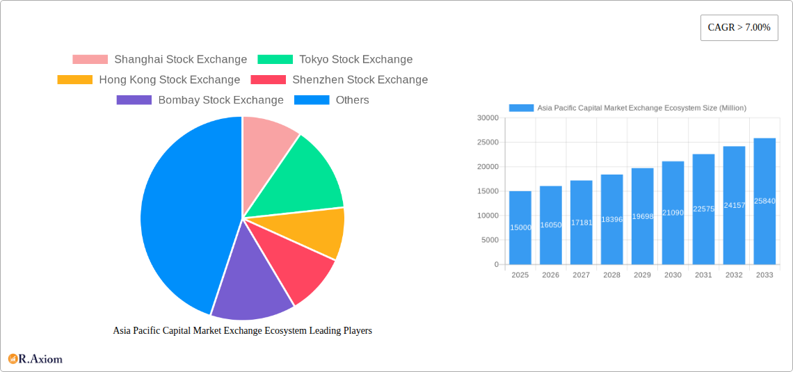 Asia Pacific Capital Market Exchange Ecosystem Research Report - Market Overview and Key Insights