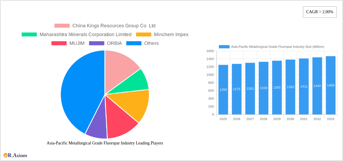 Asia-Pacific Metallurgical Grade Fluorspar Industry Research Report - Market Overview and Key Insights