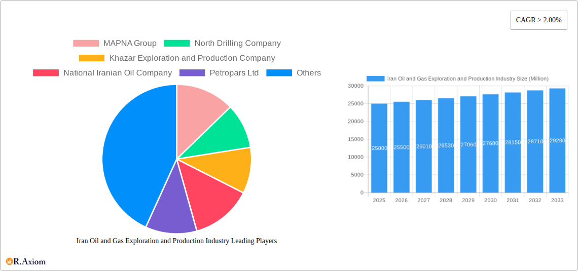 Iran Oil and Gas Exploration and Production Industry Research Report - Market Overview and Key Insights