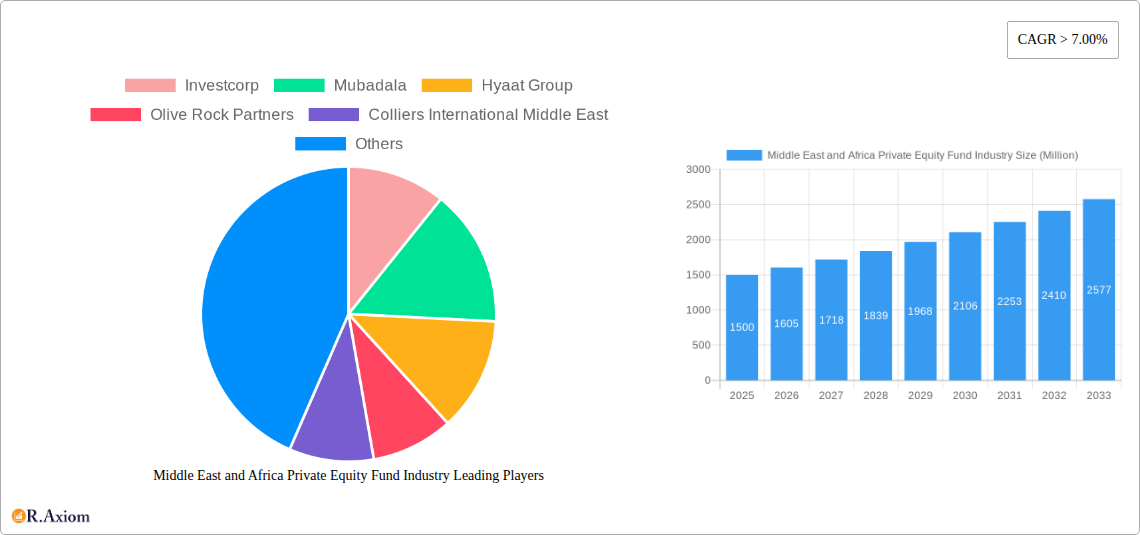 Middle East and Africa Private Equity Fund Industry Research Report - Market Overview and Key Insights
