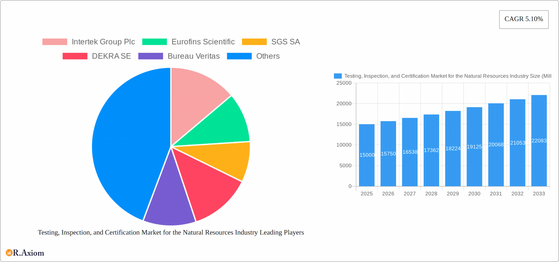 Testing, Inspection, and Certification Market for the Natural Resources Industry Research Report - Market Overview and Key Insights