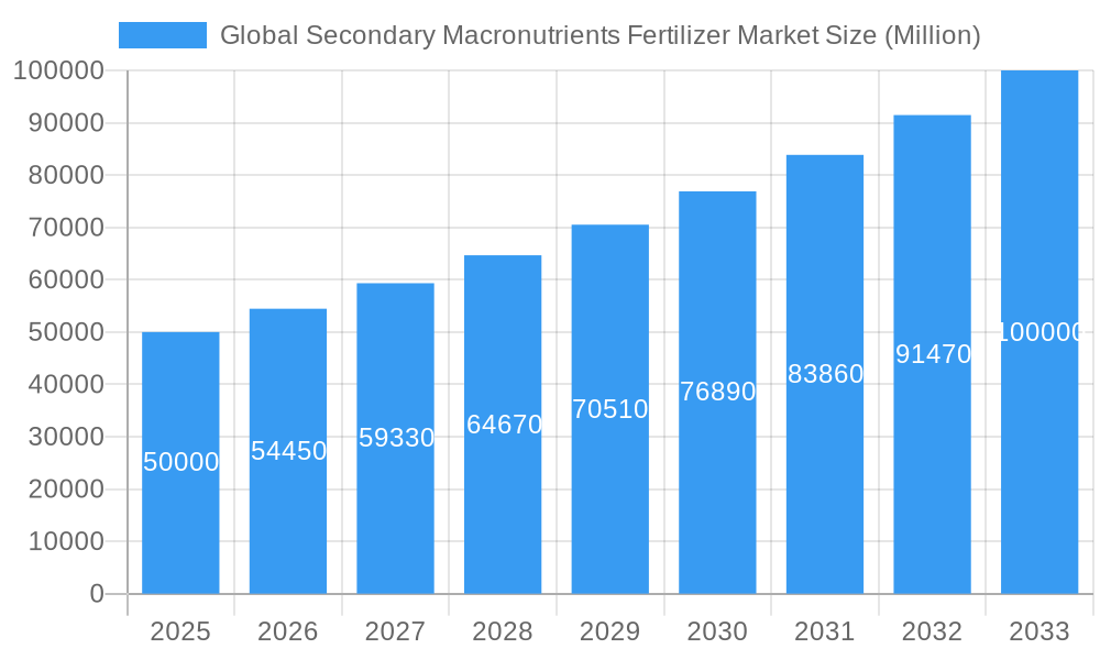 Global Secondary Macronutrients Fertilizer Market Market Size and Forecast (2024-2030)