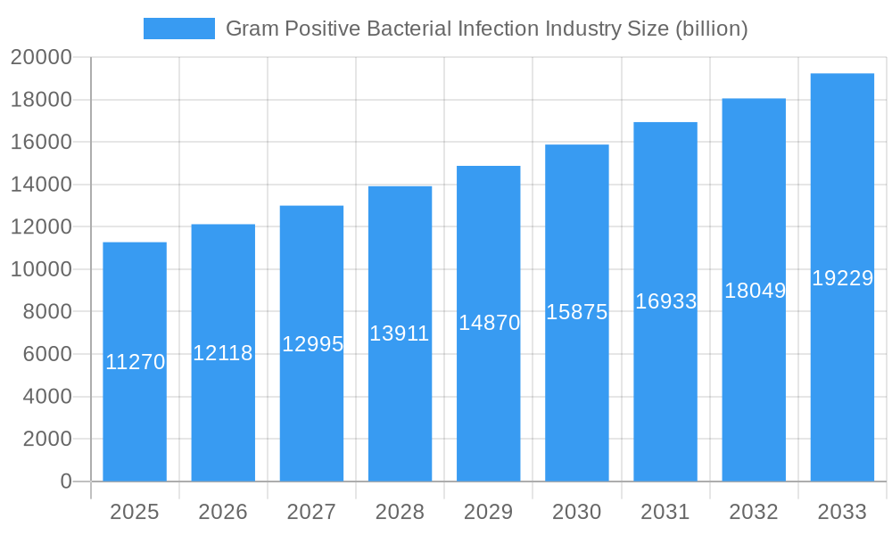 Gram Positive Bacterial Infection Industry Market Size and Forecast (2024-2030)