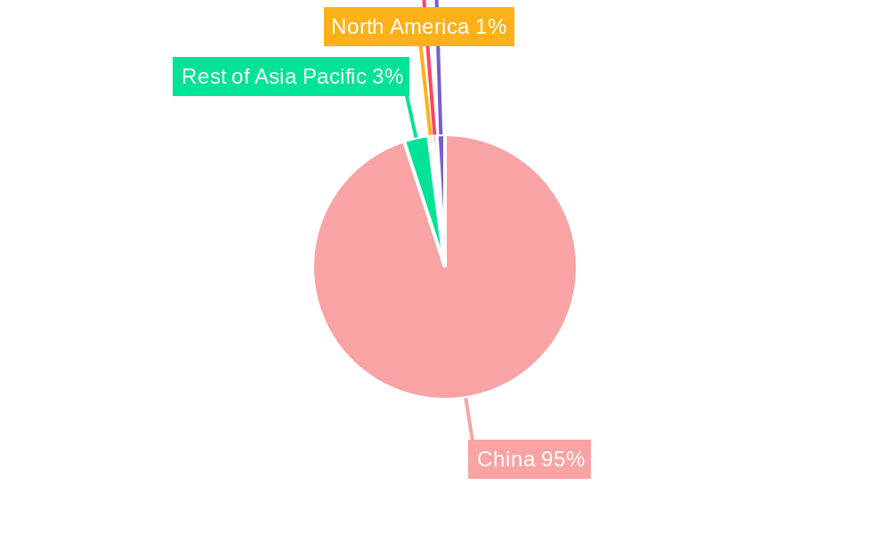 China Stevedoring and Marine Cargo Handling Market Market Share by Region - Global Geographic Distribution