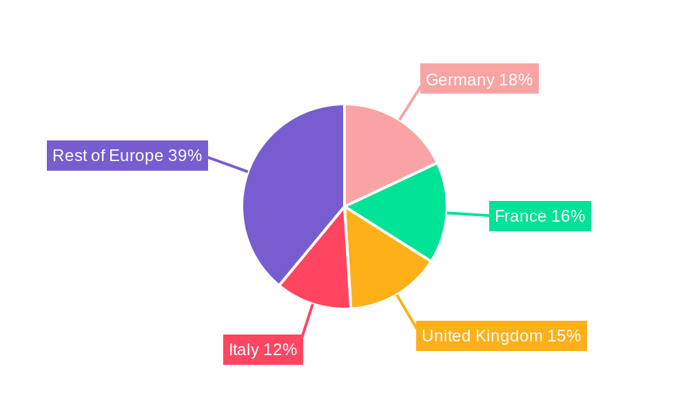 Europe Museums, Historical Sites, Zoos, And Parks Market Share by Region - Global Geographic Distribution