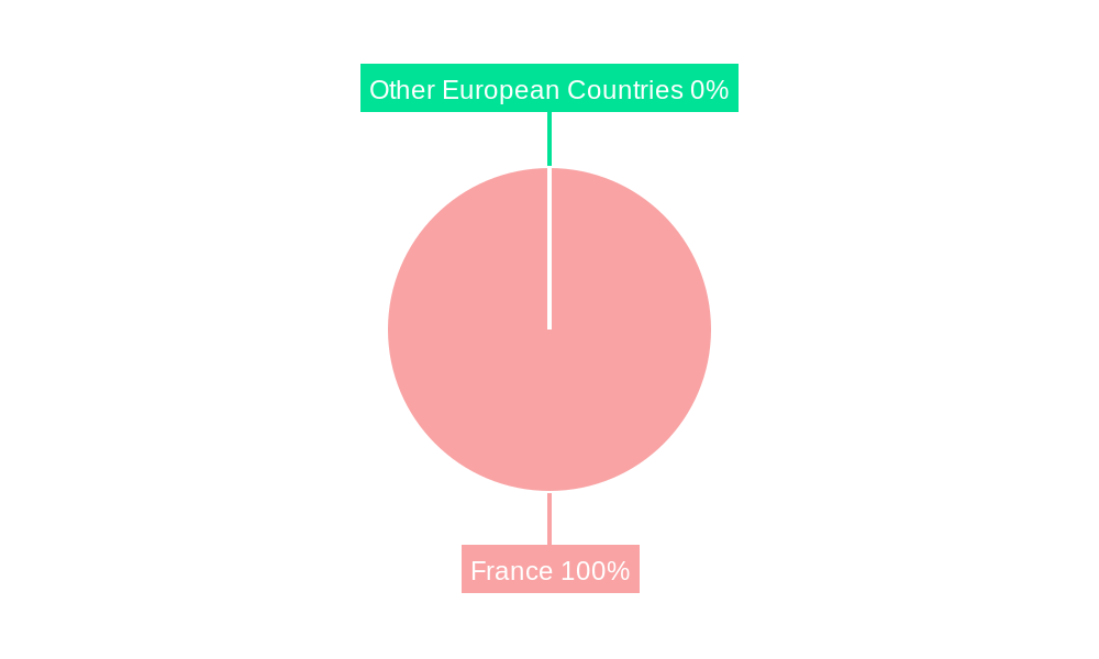 France Automotive Thermoplastic Polymer Composites Market Market Share by Region - Global Geographic Distribution