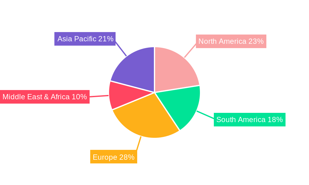 Futsal Balls Market Share by Region - Global Geographic Distribution