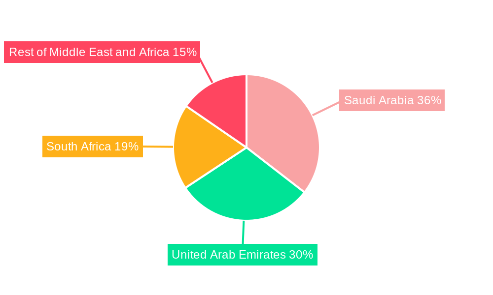 Middle East and Africa Repair and Rehabilitation Market Market Share by Region - Global Geographic Distribution