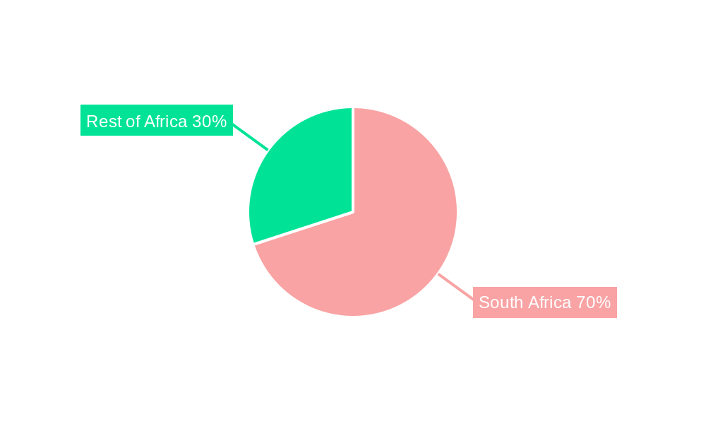 South Africa Paints And Coatings Market Market Share by Region - Global Geographic Distribution
