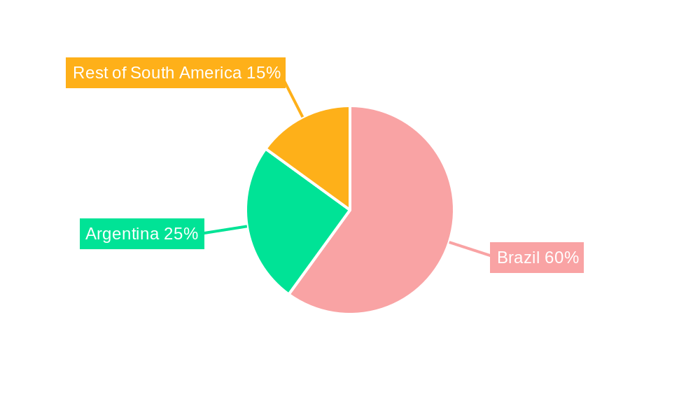 South America E-Commerce Skin Care Products Market Market Share by Region - Global Geographic Distribution
