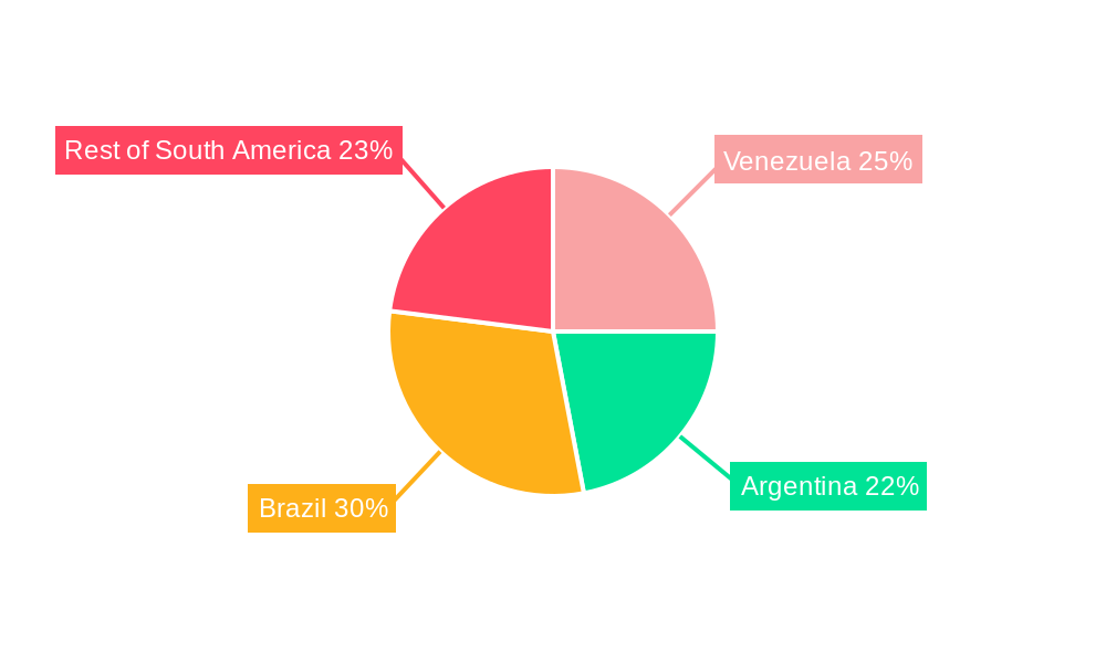 South America Intelligent Pigging Market Market Share by Region - Global Geographic Distribution