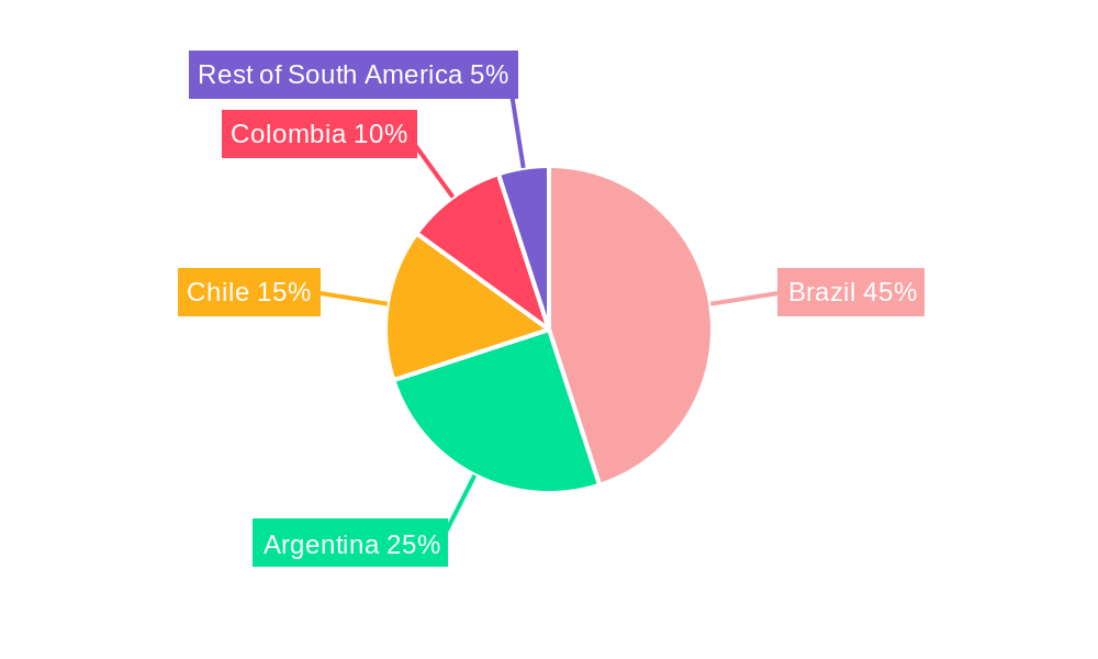 South America Water Treatment Chemicals Industry Market Share by Region - Global Geographic Distribution