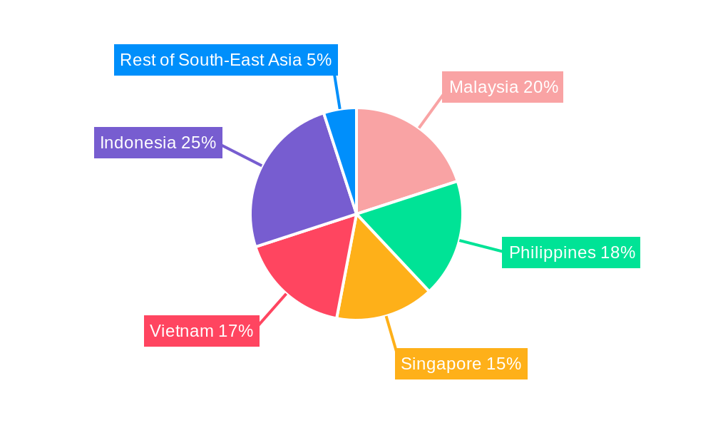 South-East Asia Aviation Infrastructure Market Market Share by Region - Global Geographic Distribution